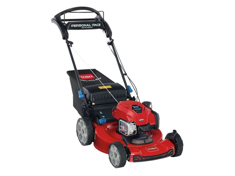 Toro Recycler 22 in. Briggs & Stratton 150 cc SmartStow Personal Pace High Wheel in Greenville, North Carolina - Photo 1