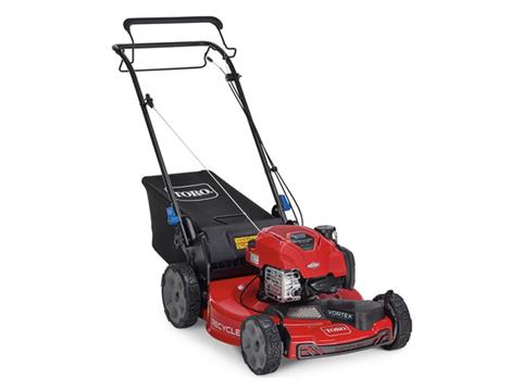 Toro Recycler 22 in. Briggs & Stratton 150 cc SmartStow High Wheel in Oxford, Maine