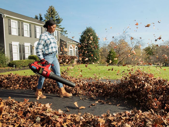 Toro 60V MAX 157MPH Brushless Leaf Blower with 4.0Ah Battery in Unity, Maine - Photo 3