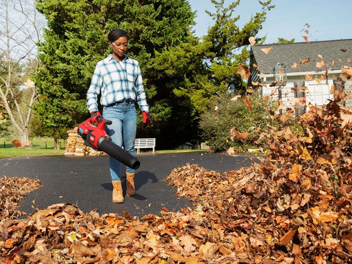 Toro 60V MAX 157MPH Brushless Leaf Blower with 4.0Ah Battery in Greenville, North Carolina - Photo 6
