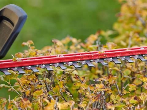 Toro 60V MAX Electric Battery 24 in. Hedge Trimmer Bare Tool in Greenville, North Carolina - Photo 5