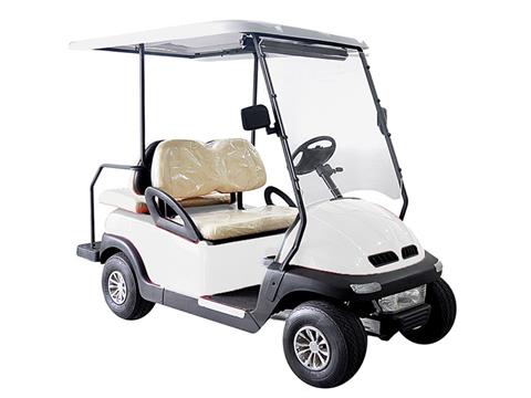 2020 Hisun Pulse Golf Cart in Norfolk, Virginia