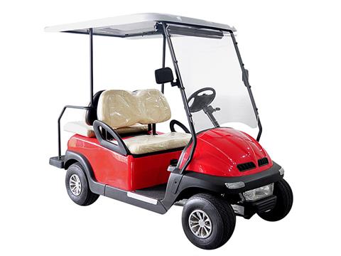 2020 Hisun Pulse Golf Cart in Sanford, Florida - Photo 1