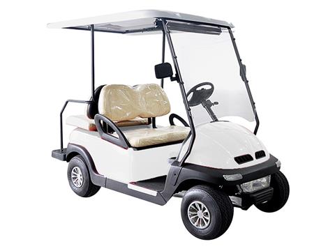 2021 Hisun Pulse Golf Cart in Coloma, Michigan