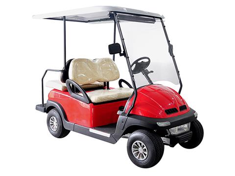 2021 Hisun Pulse Golf Cart in Coloma, Michigan - Photo 1