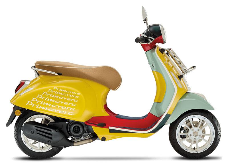 2022 Vespa Primavera 50 Sean Wotherspoon in Knoxville, Tennessee