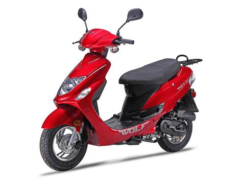 2022 Wolf Brand Scooters Wolf RX-50 in Visalia, California
