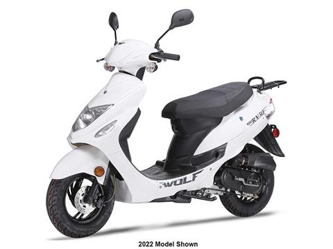2023 Wolf Brand Scooters Wolf RX-50 in Richmond, Virginia - Photo 1