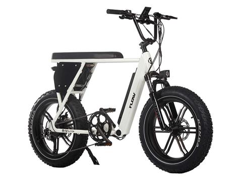 2024 Wolf Brand Scooters Flow Revolution