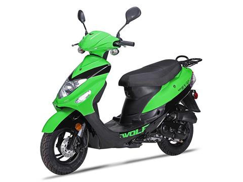 2024 Wolf Brand Scooters Wolf RX-50 in Pine Bluff, Arkansas