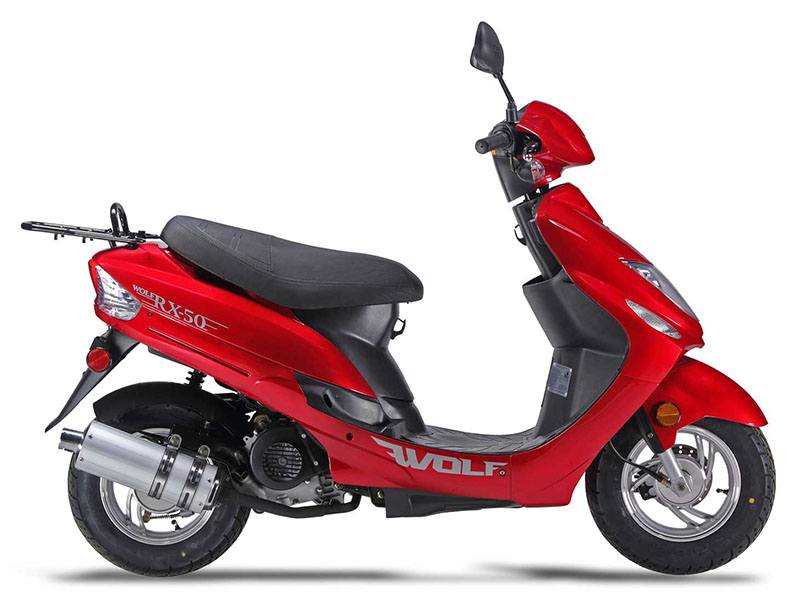 2024 Wolf Brand Scooters Wolf RX-50 in New Haven, Connecticut