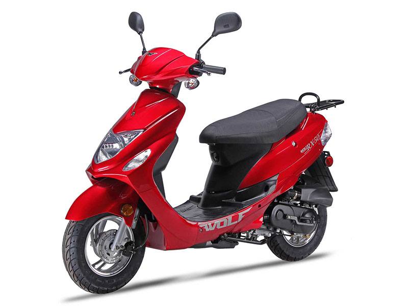 2024 Wolf Brand Scooters Wolf RX-50 in Lockport, Illinois