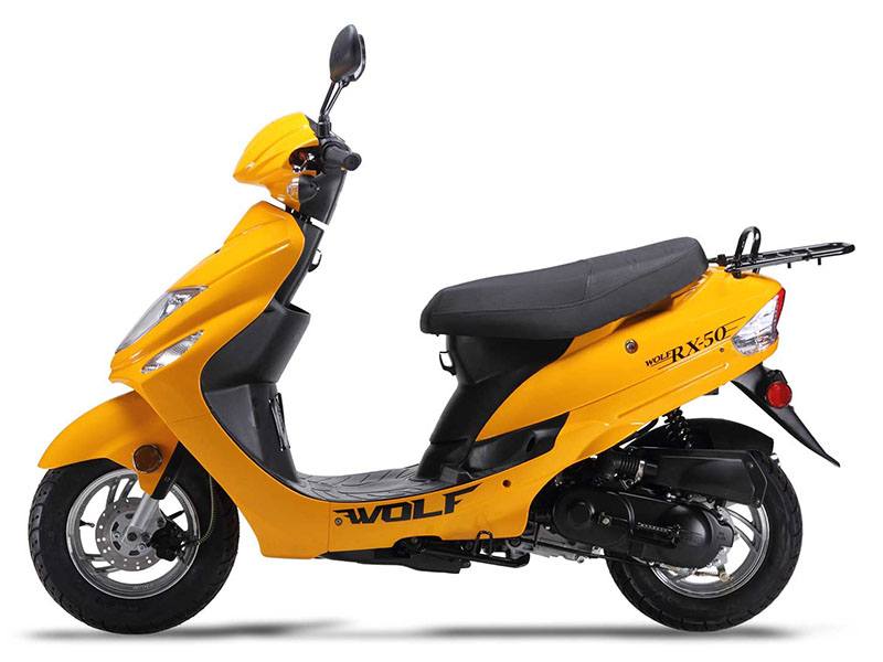 2024 Wolf Brand Scooters Wolf RX-50 in Crossville, Tennessee