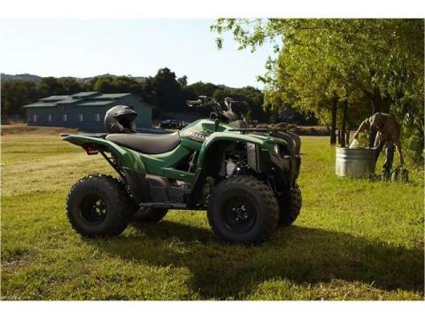2012 Yamaha Grizzly 300 Automatic in Grimes, Iowa - Photo 11