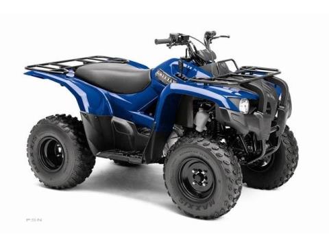 2012 Yamaha Grizzly 300 Automatic in Liberty, New York - Photo 3