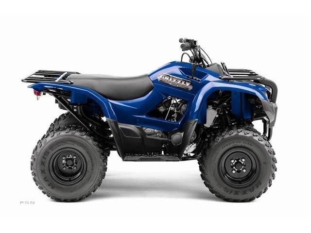 2012 Yamaha Grizzly 300 Automatic in Liberty, New York - Photo 2