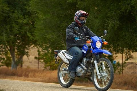 2015 Yamaha XT250 in Pahrump, Nevada - Photo 15