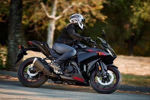 2015 Yamaha YZF-R3 in Howell, Michigan - Photo 33