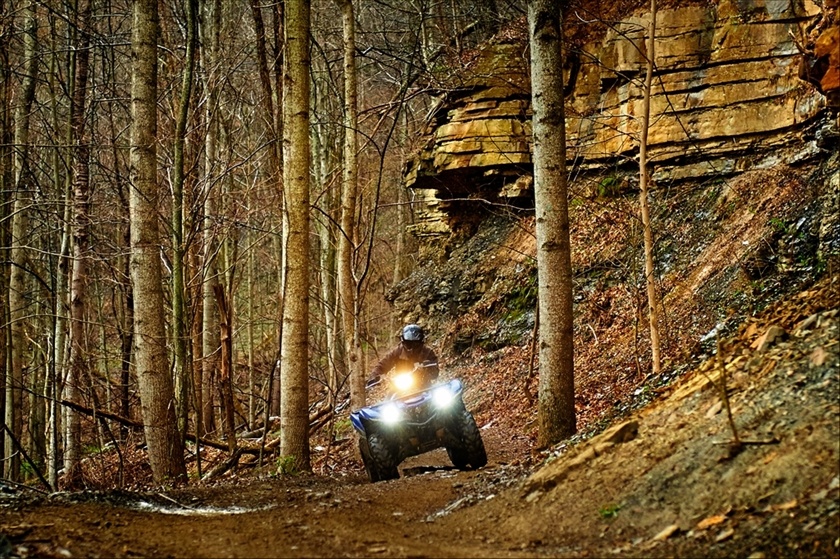 2016 Yamaha Grizzly EPS in Vernon, Connecticut - Photo 11