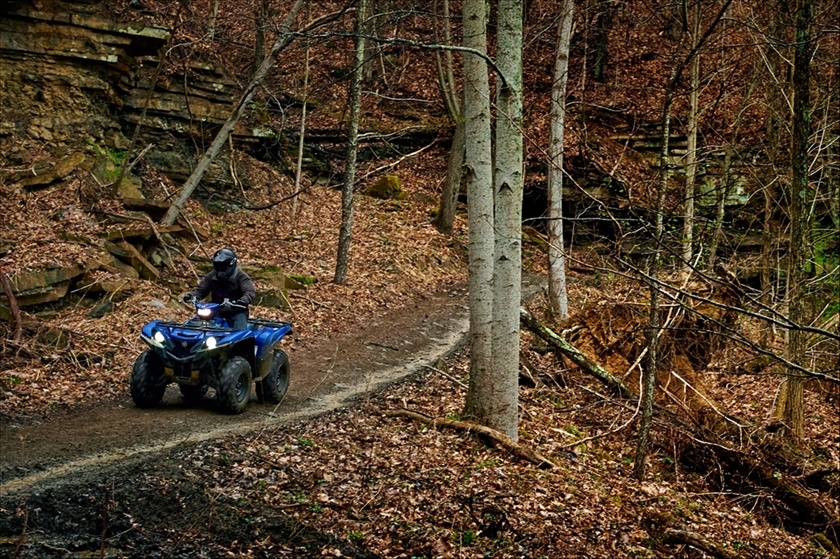 2016 Yamaha Grizzly EPS in Vernon, Connecticut - Photo 13