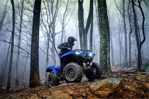 2016 Yamaha Grizzly EPS in Vernon, Connecticut - Photo 19