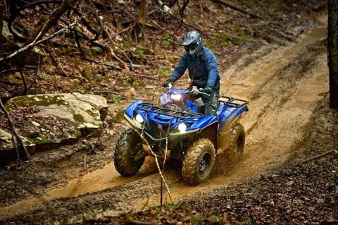 2016 Yamaha Grizzly EPS in Vernon, Connecticut - Photo 21