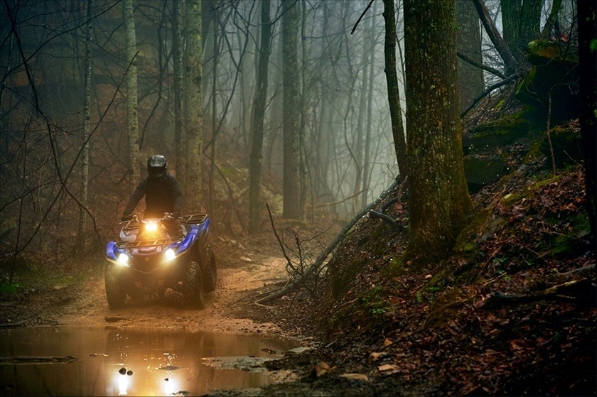 2016 Yamaha Grizzly EPS in Vernon, Connecticut - Photo 23