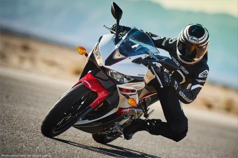 2016 Yamaha YZF-R3 in Temecula, California - Photo 50