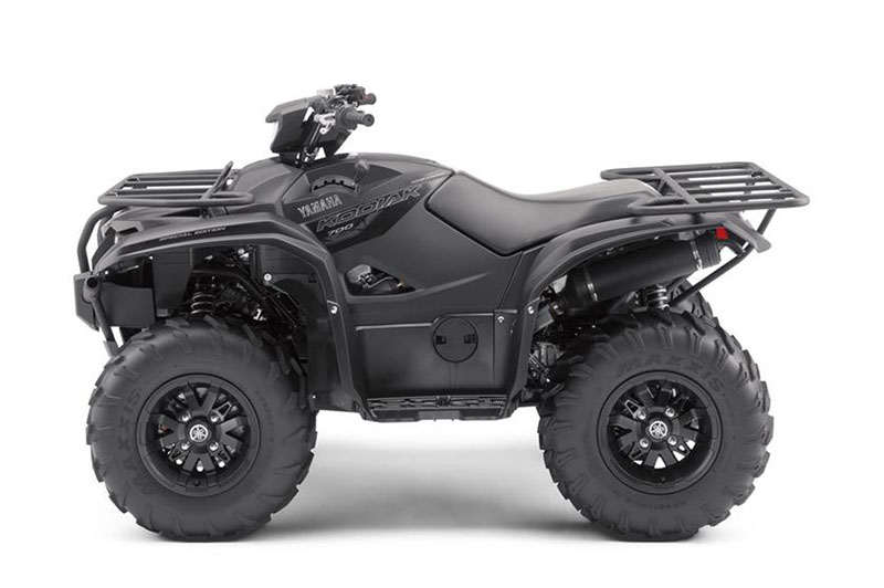 2017 Yamaha Kodiak 700 EPS SE in Osseo, Minnesota - Photo 9