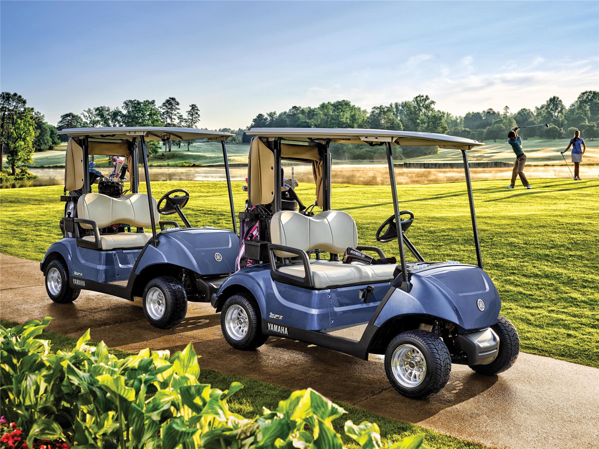 2017 Yamaha The Drive2 Fleet (Gas) Golf Carts Otsego 