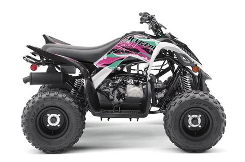 2019 Yamaha Raptor 90 in Norfolk, Virginia - Photo 1