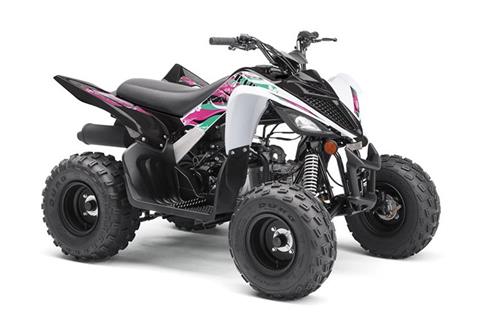 2019 Yamaha Raptor 90 in Norfolk, Virginia - Photo 2