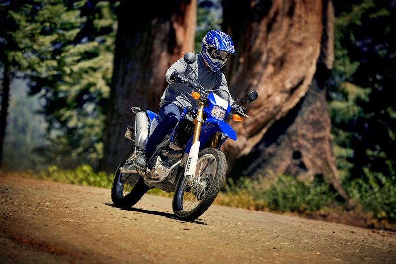 2020 Yamaha WR250R in Lumberton, North Carolina - Photo 5