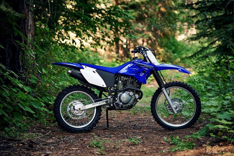 2021 Yamaha TT-R230 in Tamworth, New Hampshire - Photo 12