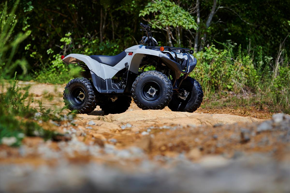 2022 Yamaha Grizzly 90 in Mio, Michigan - Photo 12