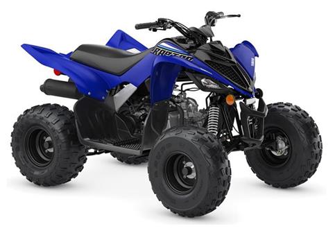 2022 Yamaha Raptor 90 in Derry, New Hampshire - Photo 2