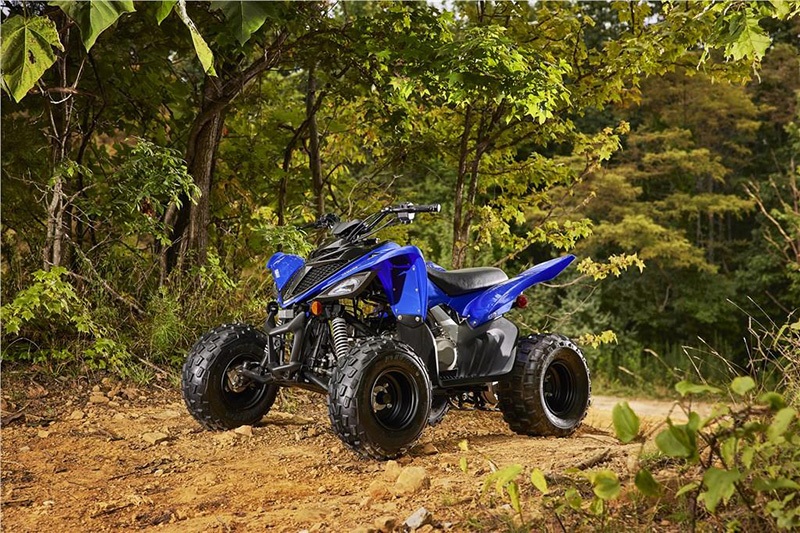 2022 Yamaha Raptor 90 in Derry, New Hampshire - Photo 8