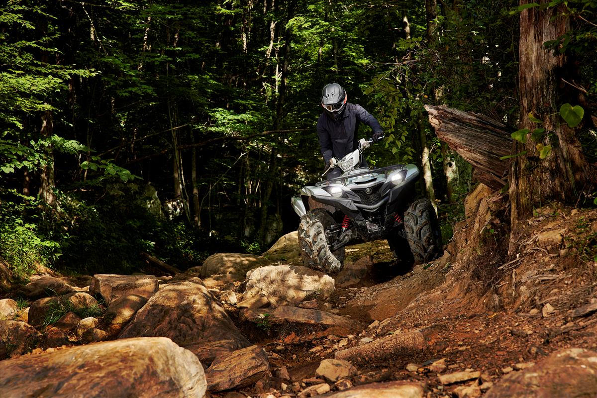 2022 Yamaha Grizzly EPS SE in Hubbardsville, New York - Photo 8