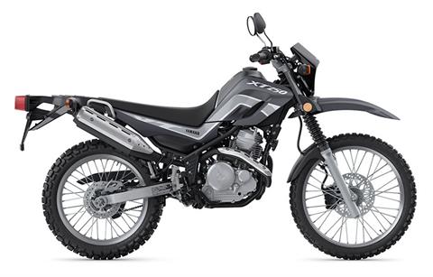 2022 Yamaha XT250 in Alamosa, Colorado