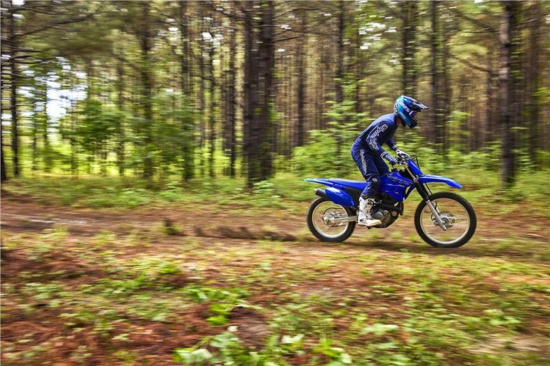 2022 Yamaha TT-R230 in Hendersonville, North Carolina - Photo 15