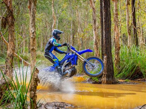2022 Yamaha WR250F in Gainesville, Texas - Photo 11