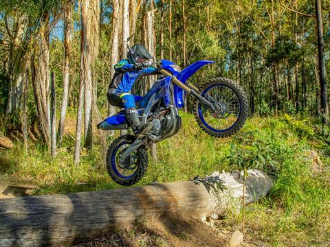 2022 Yamaha WR250F in Gainesville, Texas - Photo 13