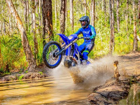 2022 Yamaha WR250F in Gainesville, Texas - Photo 15
