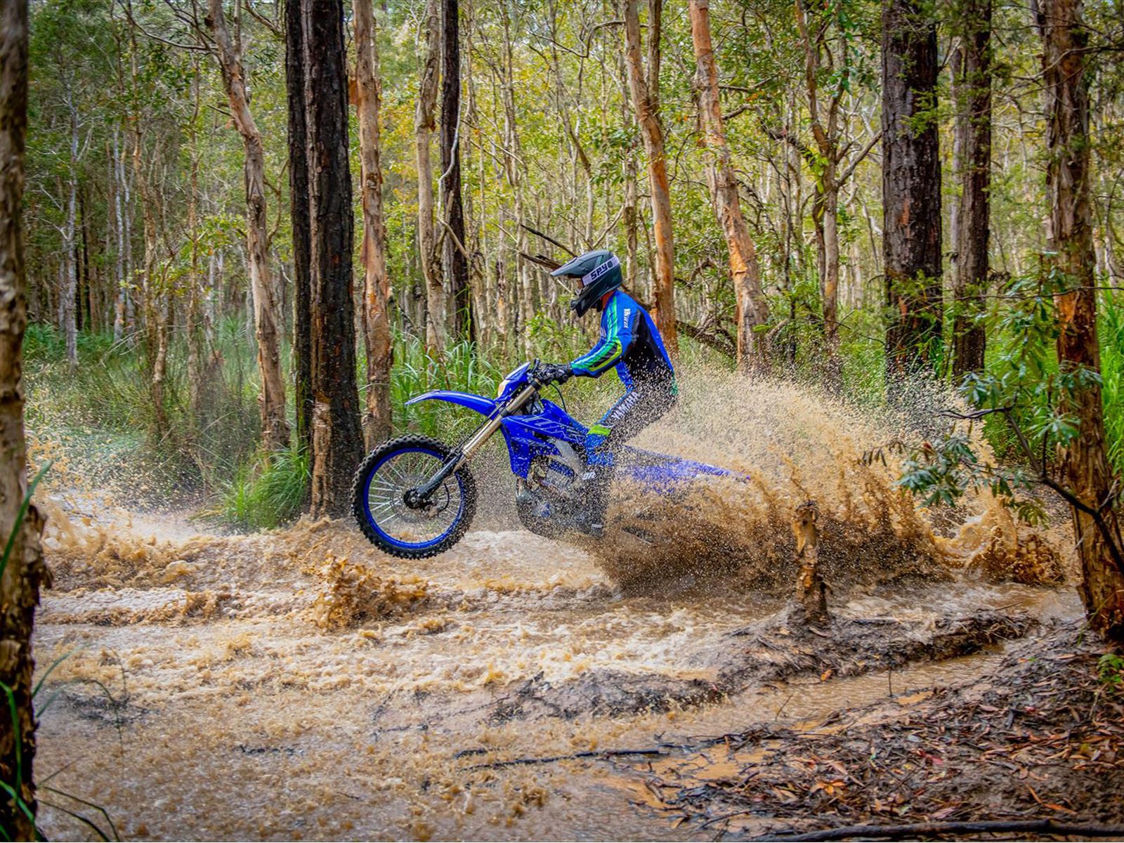 2022 Yamaha WR450F in Gainesville, Texas - Photo 15