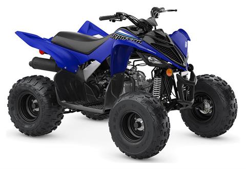 2023 Yamaha Raptor 90 in New Haven, Connecticut - Photo 2