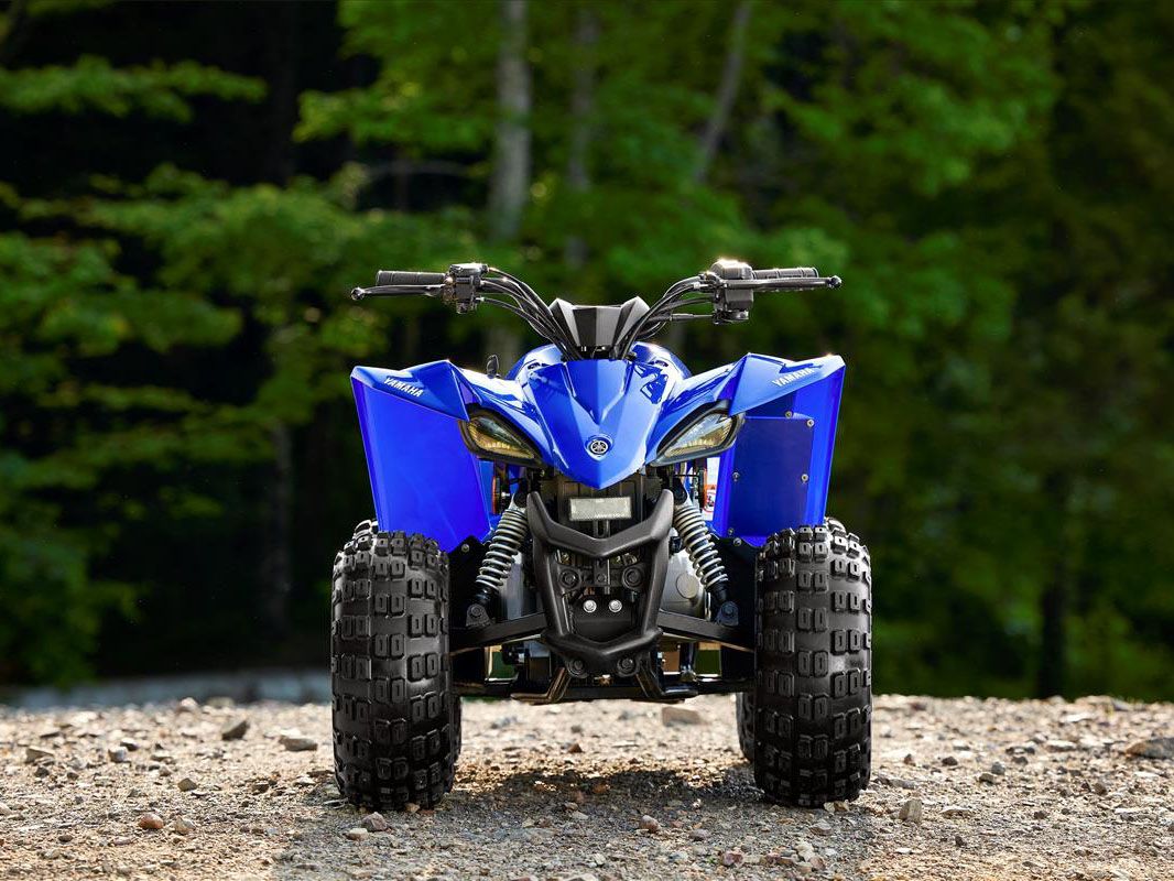 2023 Yamaha YFZ50 in New Haven, Connecticut - Photo 5