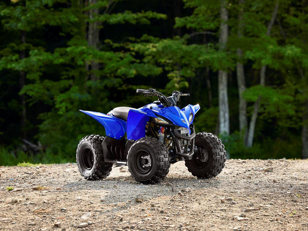 2023 Yamaha YFZ50 in New Haven, Connecticut - Photo 4
