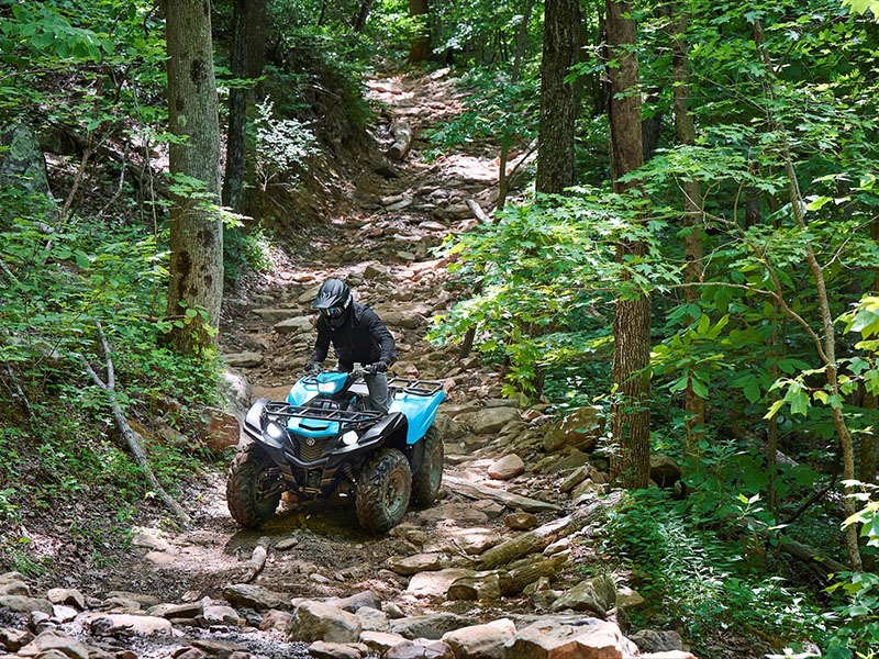 2023 Yamaha Grizzly EPS in Unionville, Virginia - Photo 9