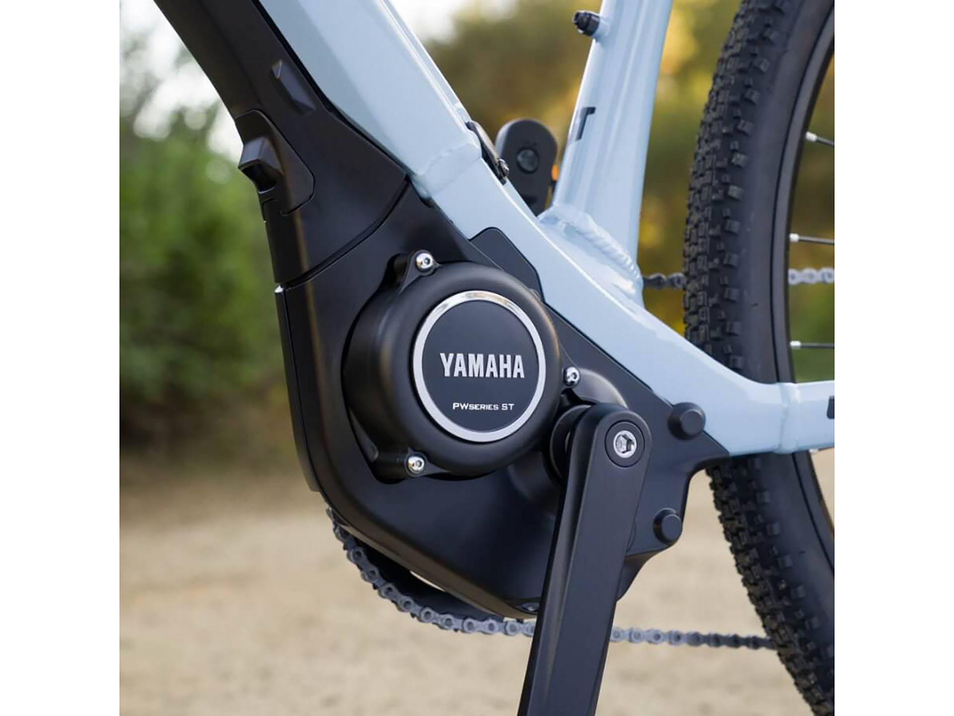 2023 Yamaha Wabash RT - Large in Santa Rosa, California - Photo 6