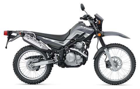 2023 Yamaha XT250 in Florence, Colorado - Photo 1